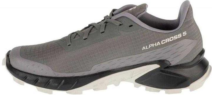 Produktbild Salmon Alphacross 5 Schuhe (47)