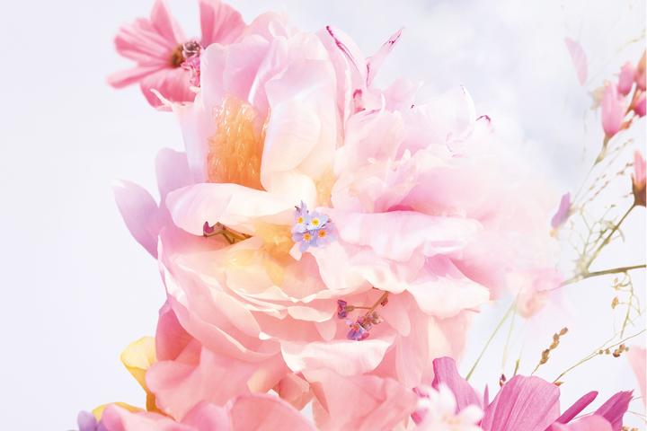 Actual product image Dior Blooming Bouquet (Eau de toilette, 50 ml)