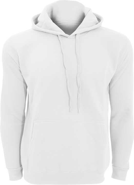 Actual product image Sols Snake Hoodie Hooded Sweatshirt (XL)