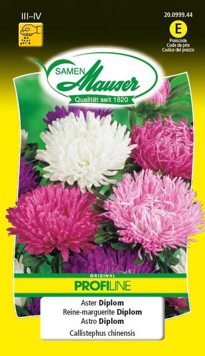 Image du produit Samen Mauser Diplôme Aster Profiline (Graines de fleurs)