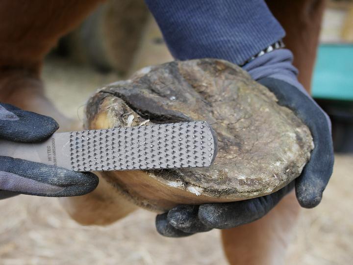 Productafbeelding HEYTEC Halfronde vijl 200 mm (200 mm)