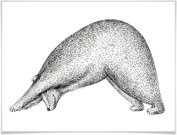 Image du produit Trenddeko Yoga Ours 01 (50 x 40 cm)