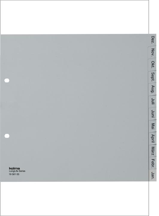 Actual product image Kolma Index A4 partially opaque Dec-Jan (en) 12-piece grey