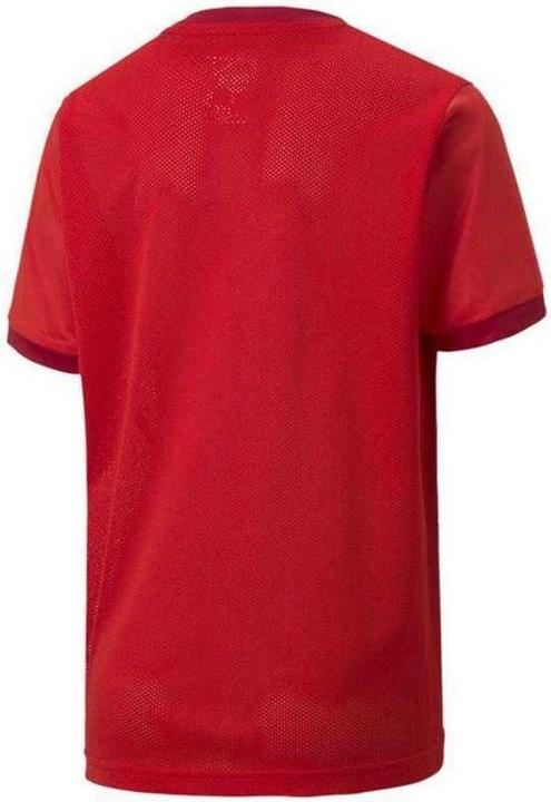 Produktbild Puma TeamGoal TShirt (128)