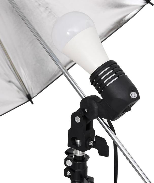 Immagine prodotto vidaXL Facchino (300 cm, 210 cm)