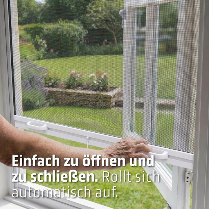 Produktbild Cocoon Home Concepts Cocoon Insektenschutzrollo mit Kassette Anthrazit - 60 x 150 (60 x 150 cm)
