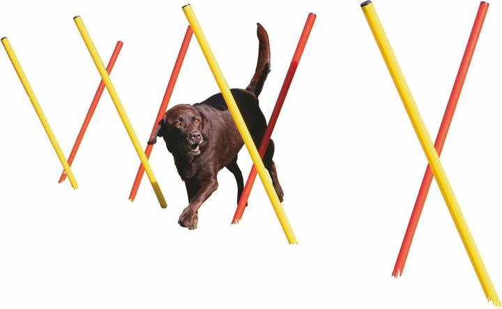 Actual product image Kerbl Complete set (One size, Agility)
