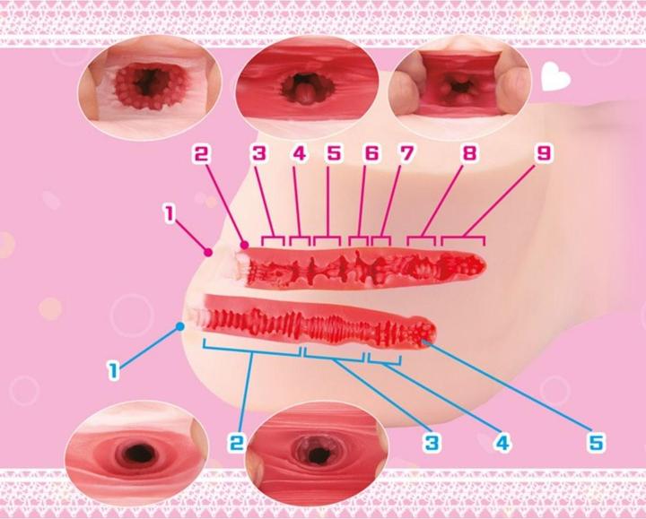 Produktbild Seiraku Toys Ultimate Aska Mai Torso