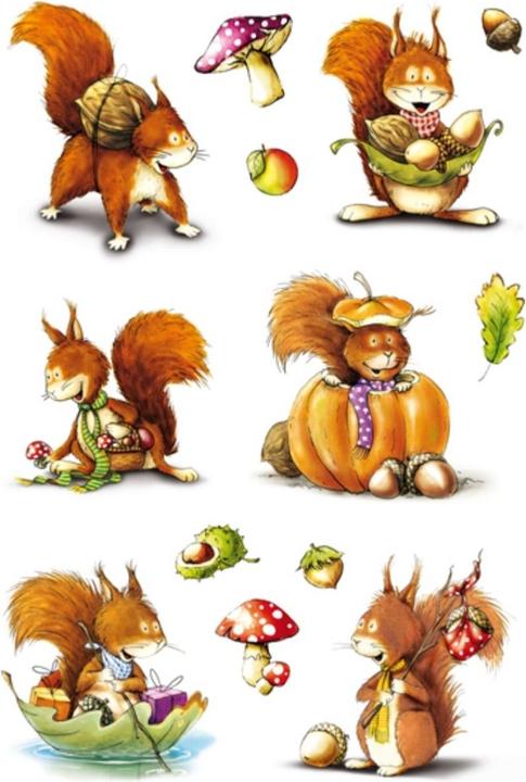 Produktbild HERMA Sticker Eichhörnchen