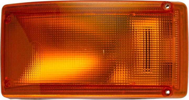 Actual product image Hella Halogen indicator for MACK