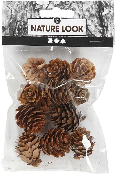 Actual product image Creativ Company Fir cones