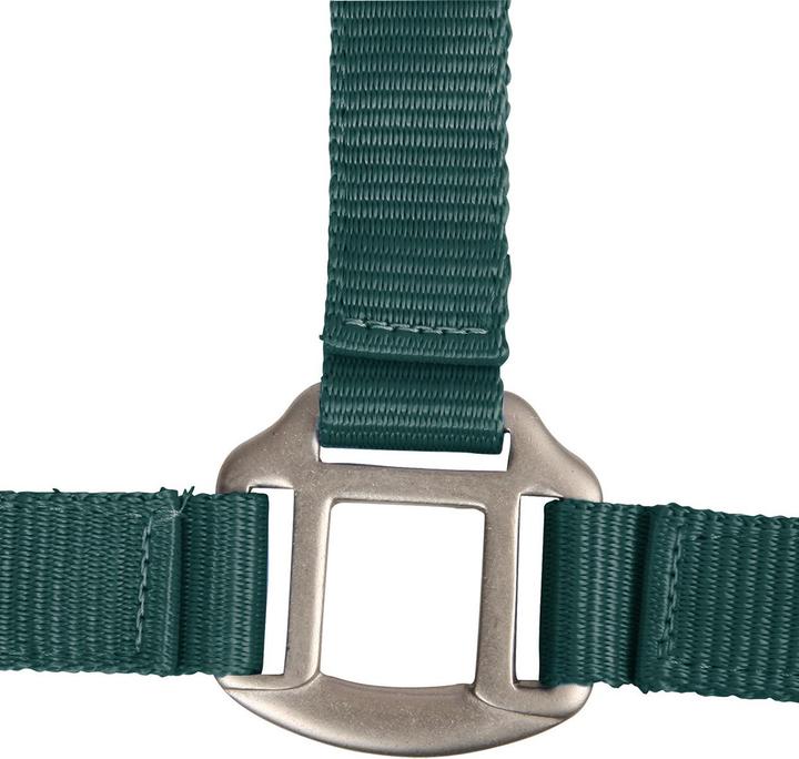 Immagine prodotto Waldhausen Cavallotto in satin per pony
