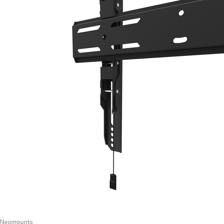 Actual product image Neomounts Wall Mount WL30S-850BL14 Black (Wall, 75", 60 kg)