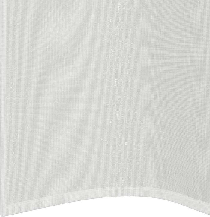 Actual product image vidaXL Voile Vorhang (140 x 300 cm)