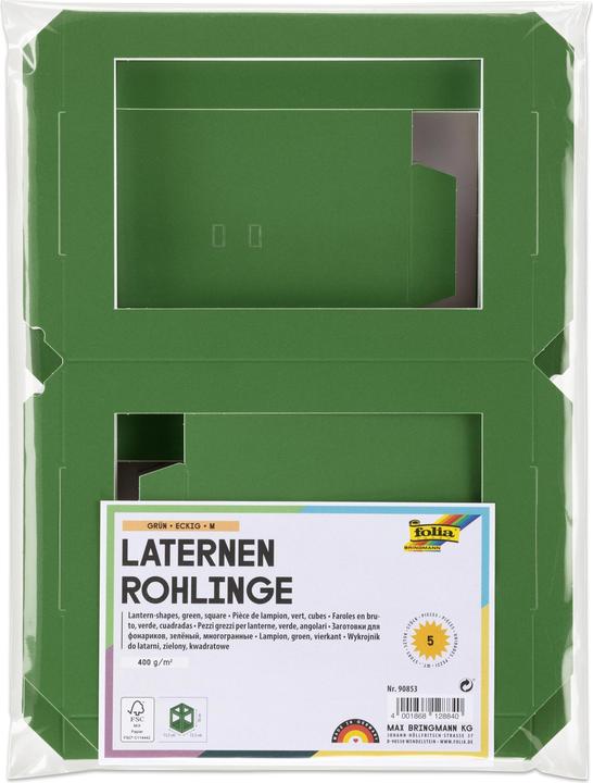 Actual product image Folia Lantern blanks