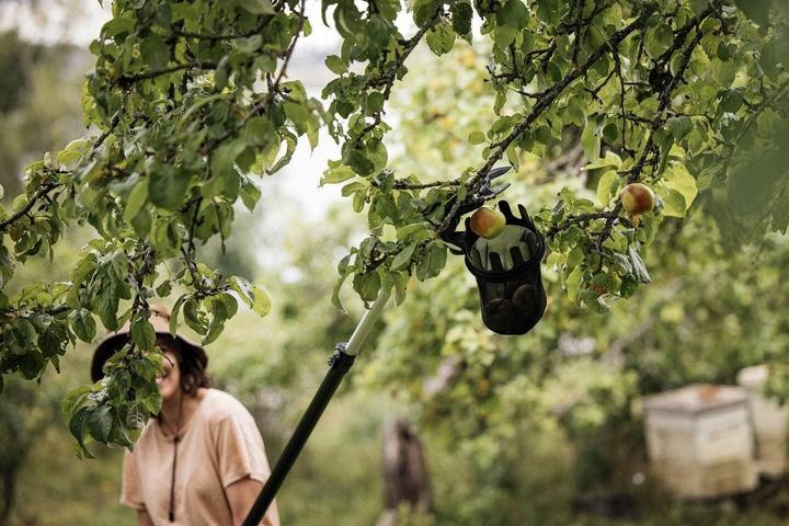 Image du produit Fiskars Cueilleur de fruits