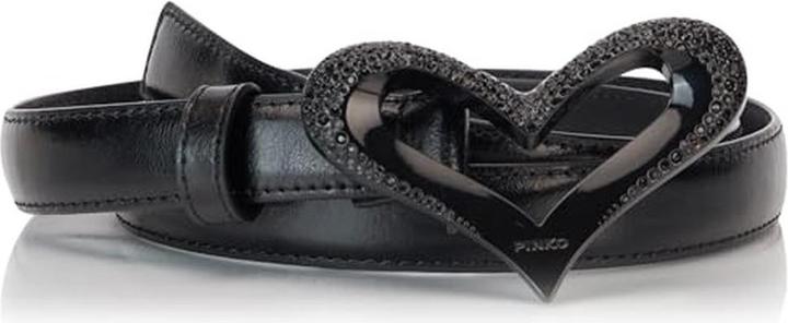 Pinko Limousine Block Color (S)