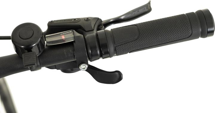 Actual product image Totem Urban E-Bike Fitness 28" HWD mid-motor 70NM / 6.4Ah platinum (48 cm)