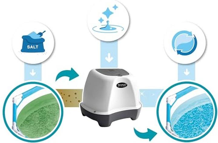 Actual product image Intex QS200 Saltwater System