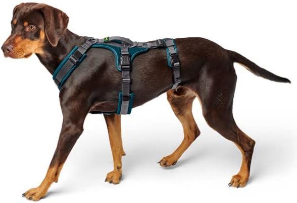 Actual product image Hunter Safety harness (Dog, Walks)