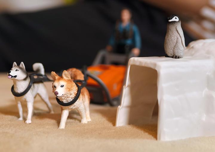 Produktbild Schleich Antarktis Expedition