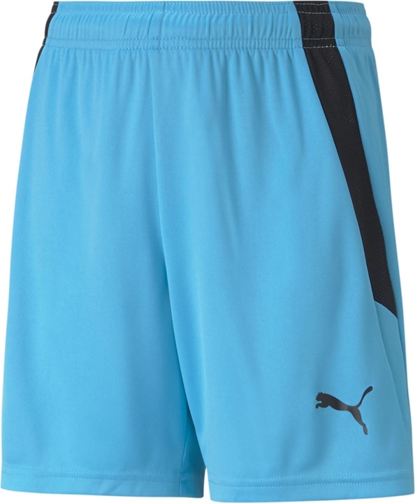 Actual product image Puma teamLIGA Shorts Jr-704931 (128)