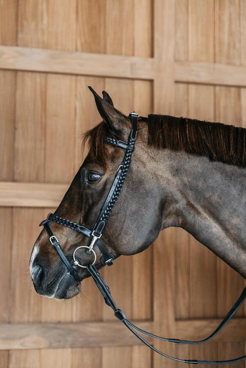 Produktbild Dy'on Geflochtene Zäume Reiten