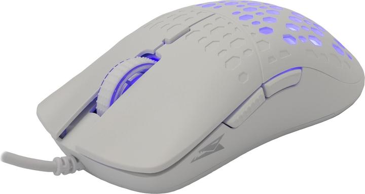 Actual product image Baracuda Octopus (Cable)