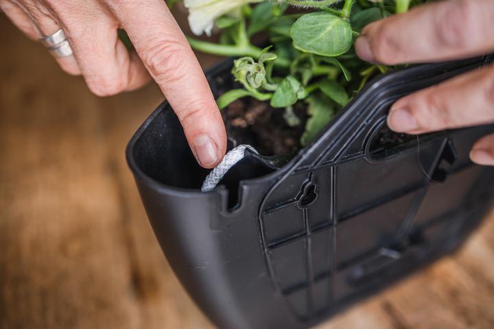 Actual product image CitySens 3er-Pack Wand-Pflanzengefäss mit automatischer Bewässerung (9 cm)