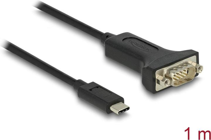 Actual product image Delock Adapter USB Type-C™ to 1 x Serial RS-232 D-Sub 9 Pin Male with Nuts 1 m (1 m)