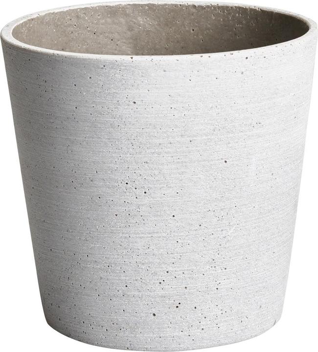 Actual product image pfister Greg (16 cm)