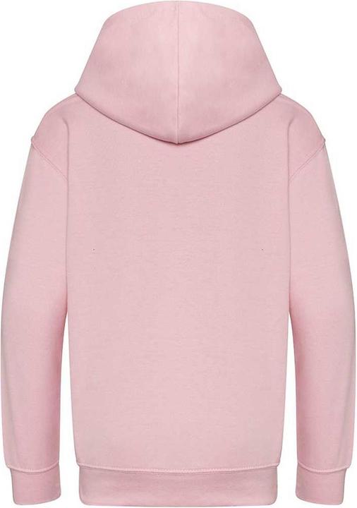Actual product image Awdis Hooded jumper from organic farming (128)