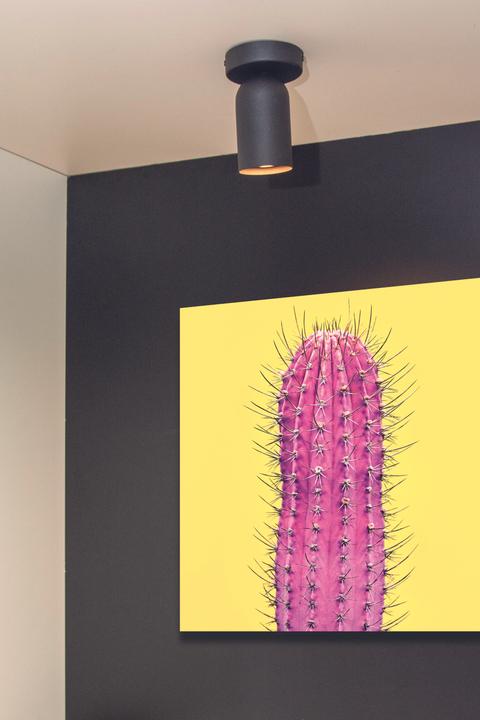 Actual product image Lucide Spotlights, Spots & Surface Mounted Spotlights (GU10)