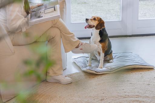 Produktbild Designed by Lotte Liegekissen Nalino (Hund)