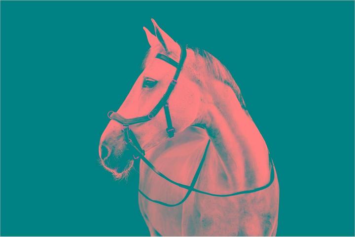 Produktbild Horseware Micklem Multi