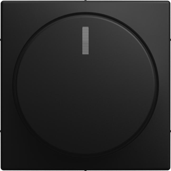 Actual product image Busch-Jaeger Zentralscheibe m.Drehknopf 2115-915 Bef.-Mutter u.Glimmlampe