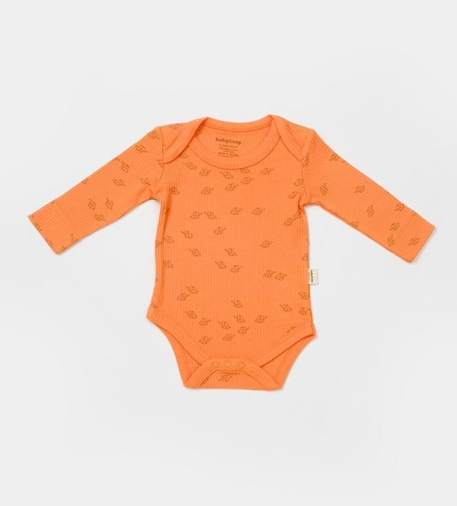 Immagine prodotto BabyCosy Corpo a maniche lunghe, confezione da 2 (68)