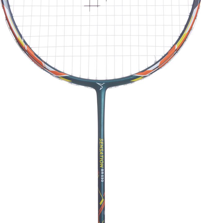 Produktbild Perfly BR Sensation 530