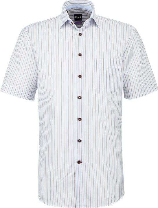 Bianco, Blu chiaro, Marrone