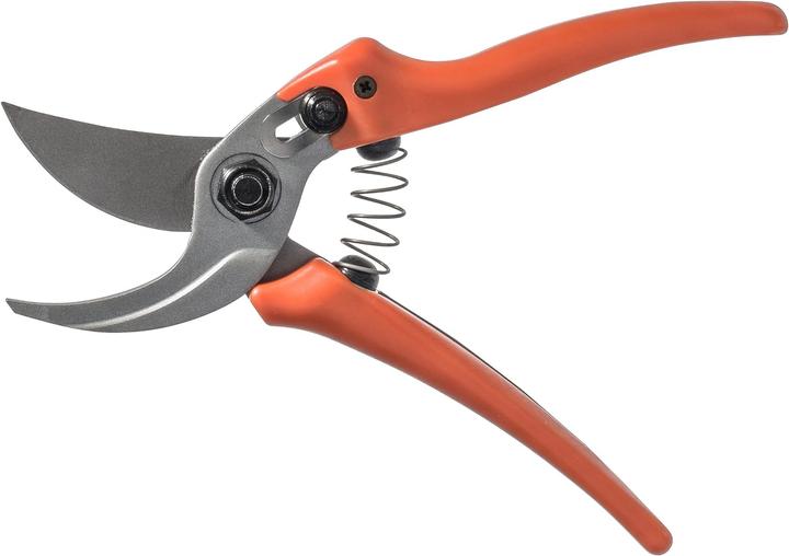 Actual product image Löwe Rose scissors 14.107