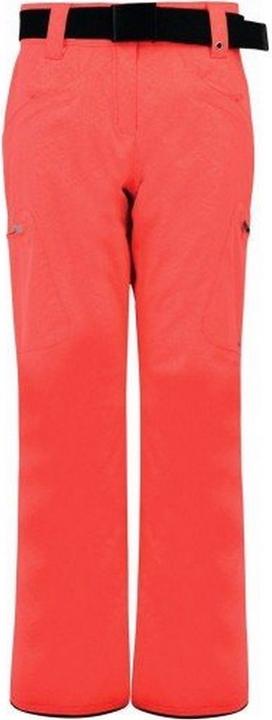 Actual product image Dare2b Ski trousers Free Scope waterproof