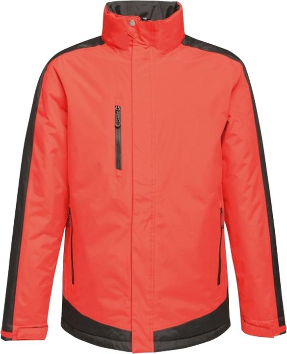 Actual product image Regatta UTRG3743 P (L)