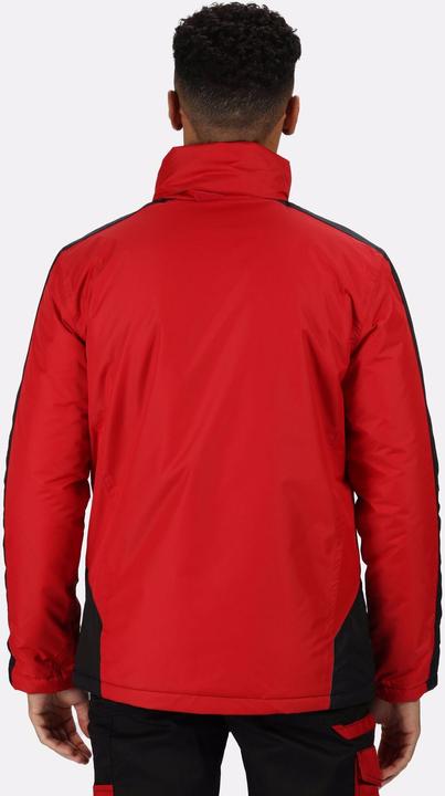 Actual product image Regatta UTRG3743 P (L)