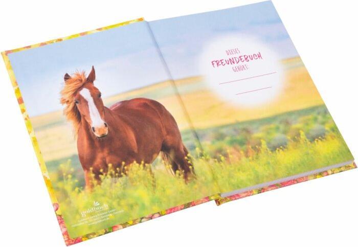 Actual product image Goldbuch Akira friend book (15 x 21 cm)