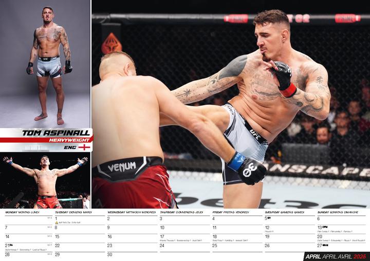 Actual product image MMA Calendar 2025 (42 x 30 cm, German)