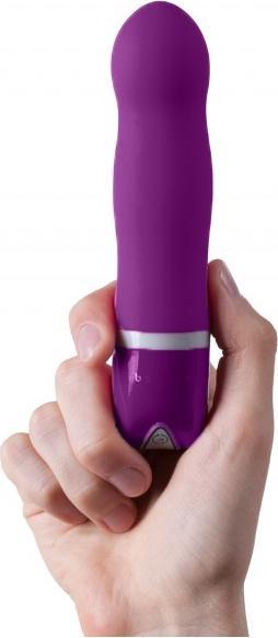 Actual product image Bswish Bdesired deluxe