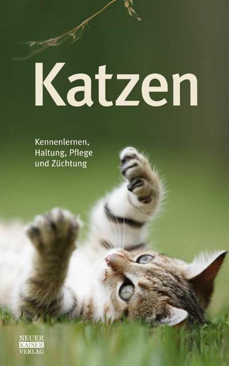 Produktbild Katzen (Deutsch, Manuela Eder, Neuer Kaiser, 2012)