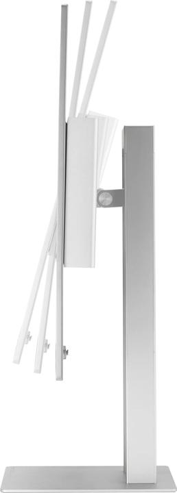 Actual product image ASUS ProArt PA27UCDMR 67.32 cm (16:9) QD-OLED (3840 x 2160 Pixels, 26.50")