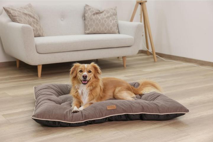 Produktbild Kerbl Liegekissen Benno (Hund)