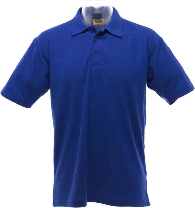 Bleu roi